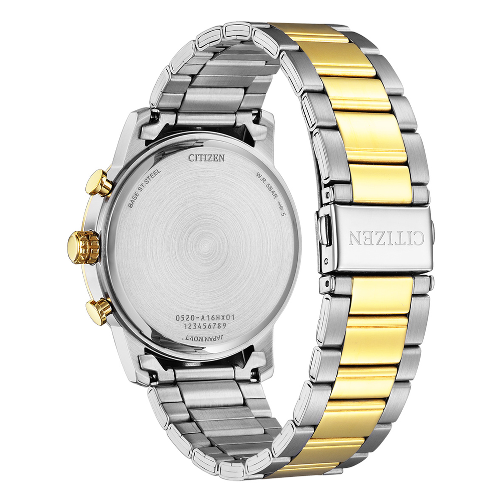 Citizen Men's Watch in Silver | Pascoes