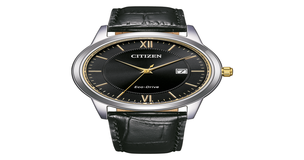 Citizen Men's Watch in Silver | Pascoes