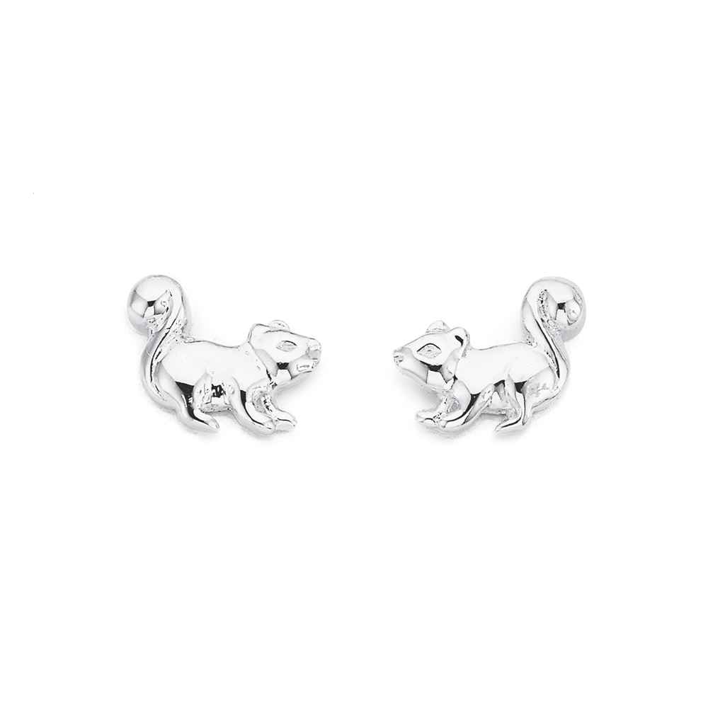 Pascoes hot sale silver earrings